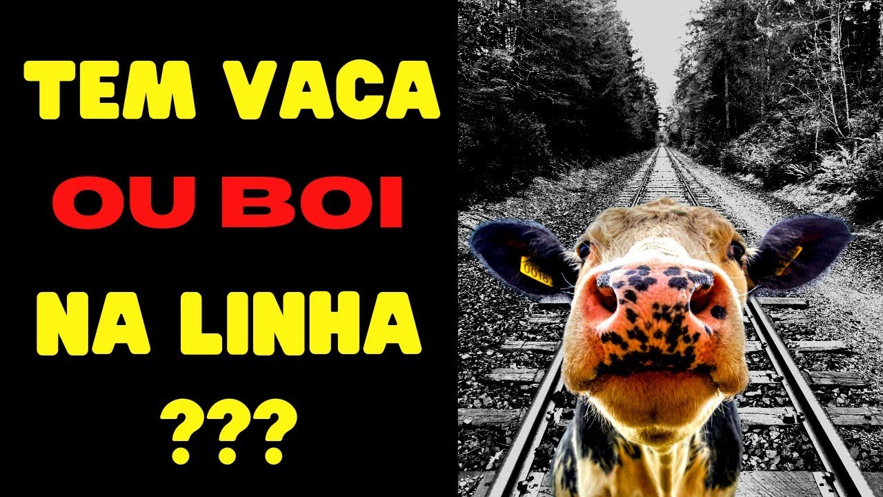 Tem alguém interessado nele (a) ? Quem é? E ele (a) corresponde? 🤔