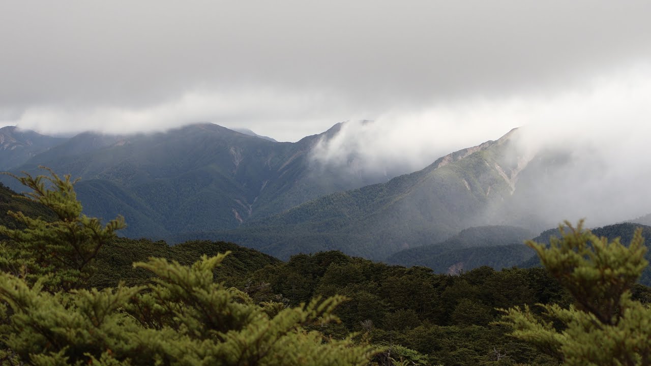 Upper Makaroro Hut - Overnight Hike in Ruahine Forest Park