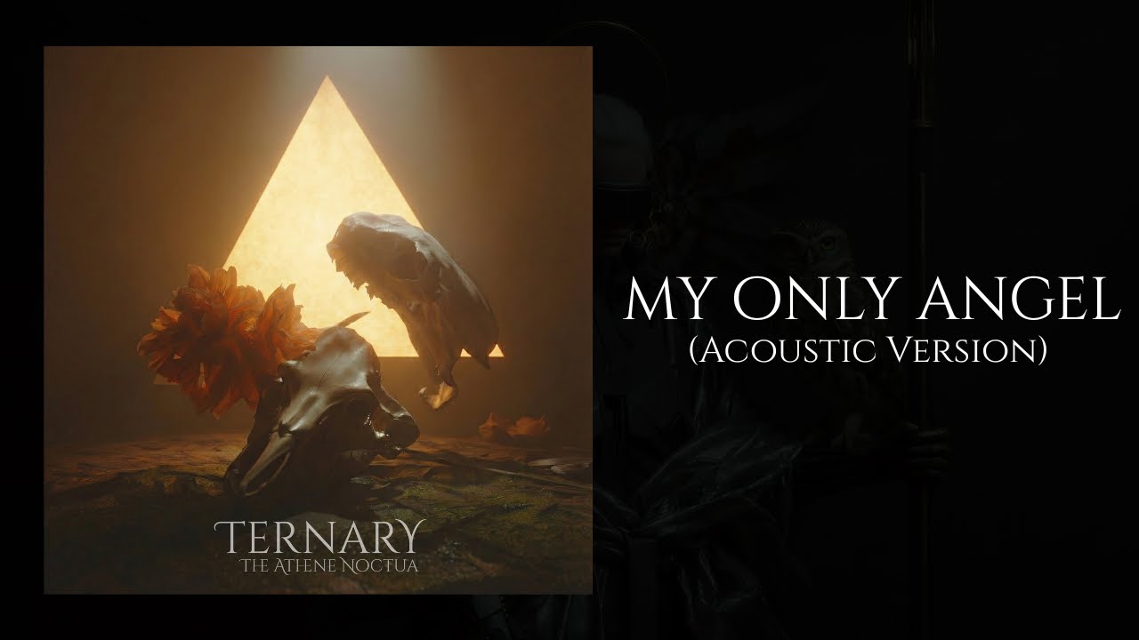 The Athene Noctua - My Only Angel (Acoustic Version) | TERNARY