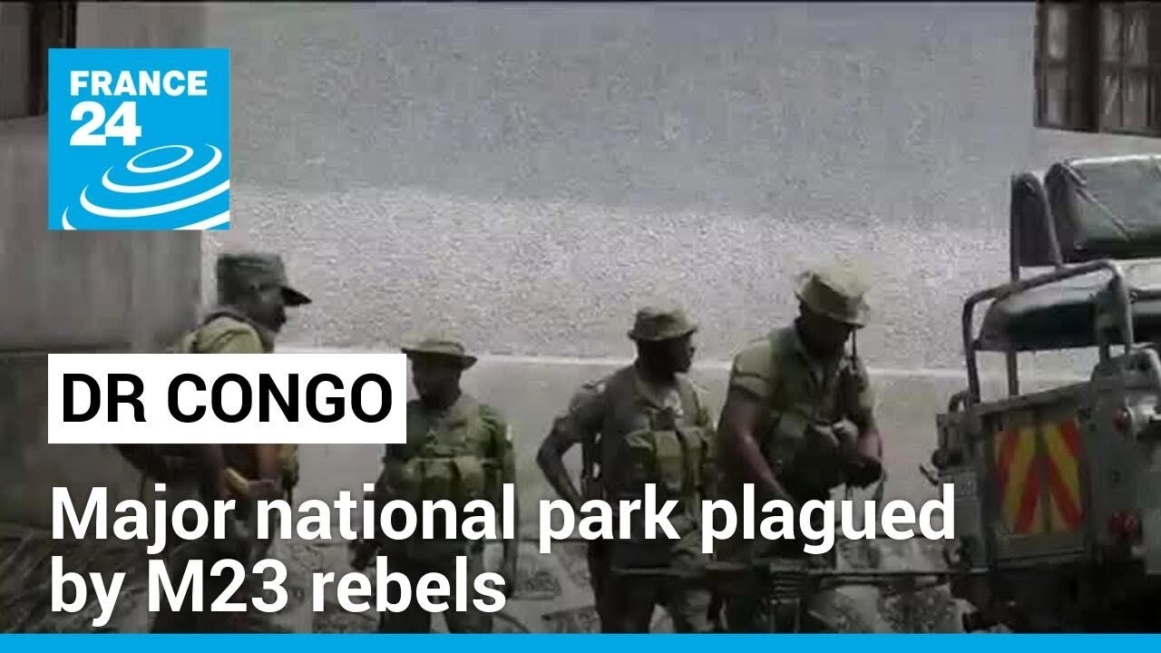 Democratic Republic of Congo: Virunga national park plagued by M23 rebels &bull; FRANCE 24 English