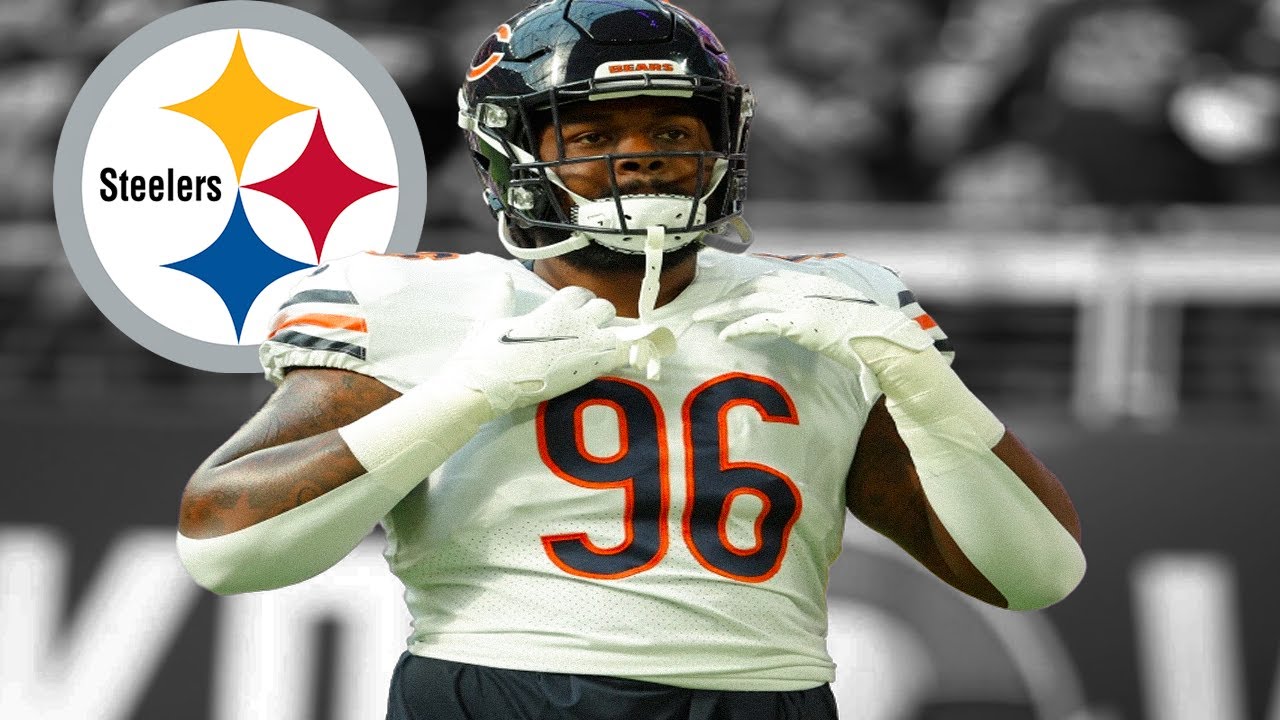 Armon Watts Highlights 🔥 - Welcome to the Pittsburgh Steelers