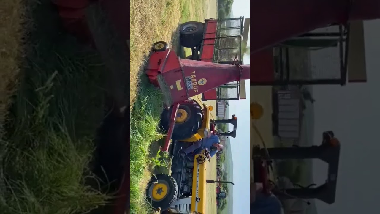 massey ferguson industrial tarrup single chop silage