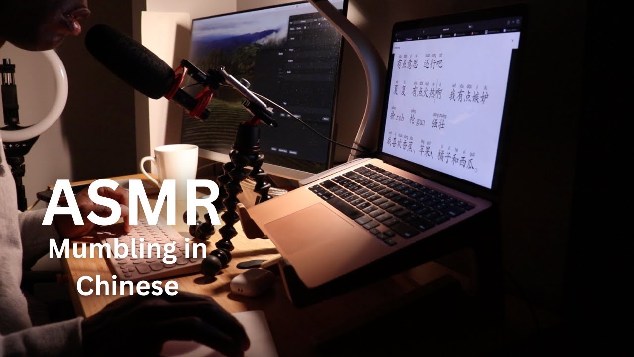 AMSR - Chinese Review - Mumbling | 跟我复习中文