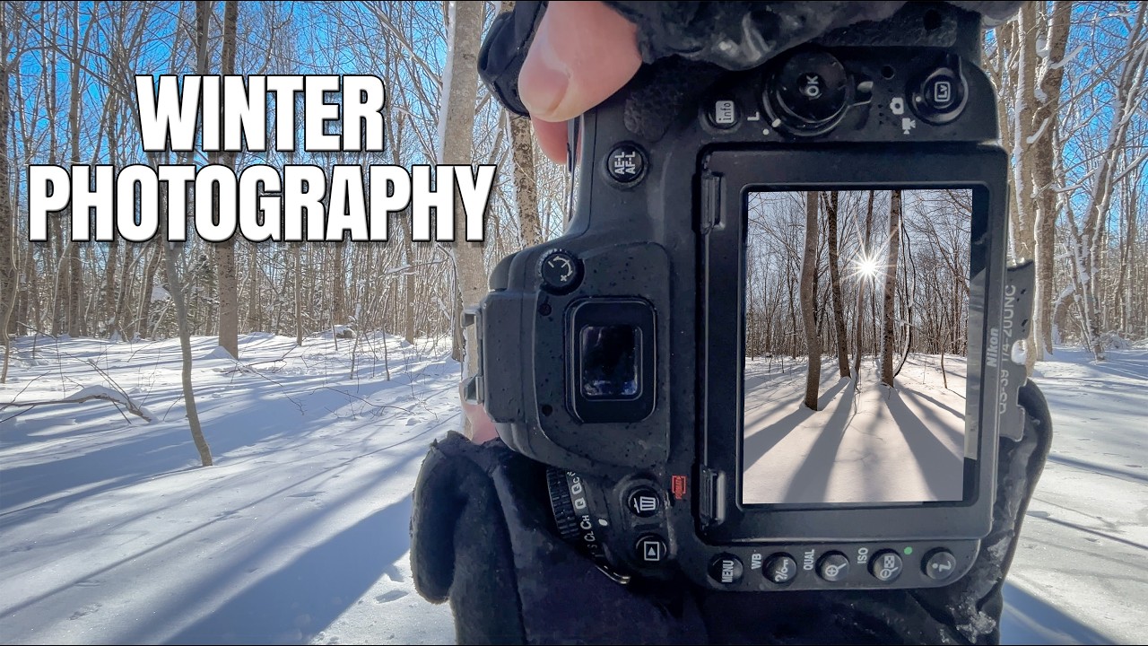 Winter Photography | Finding Compositions in Fresh Snow