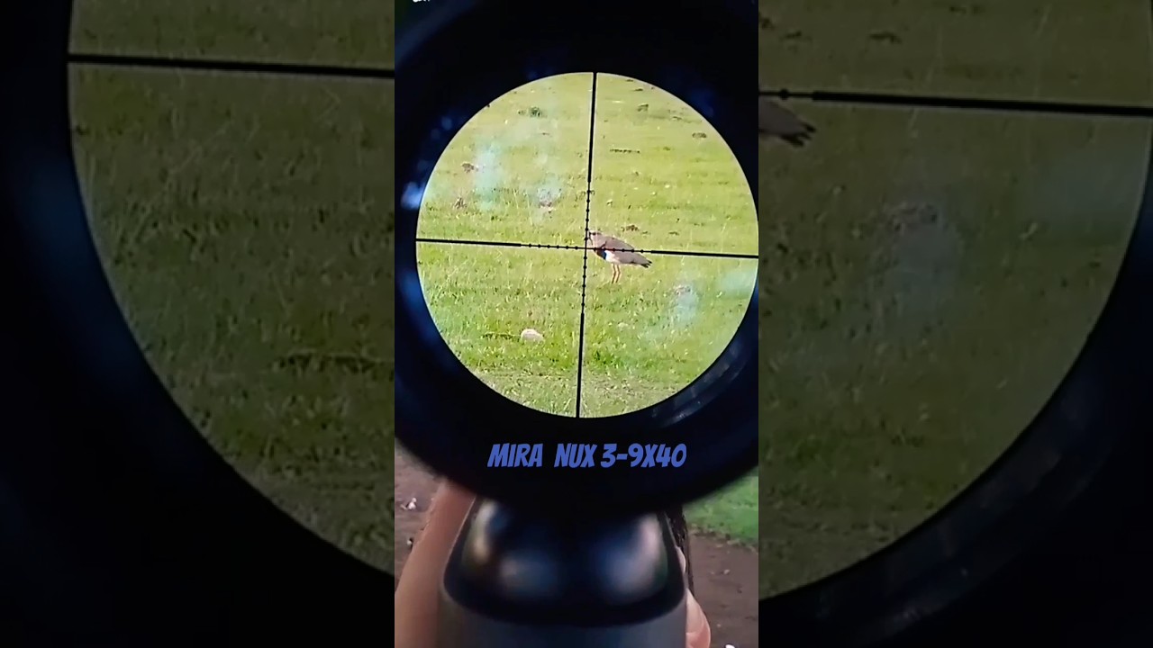 Mira telescopica nux 3-9x40 especial para un nitro pist&oacute;n 👌🏼
