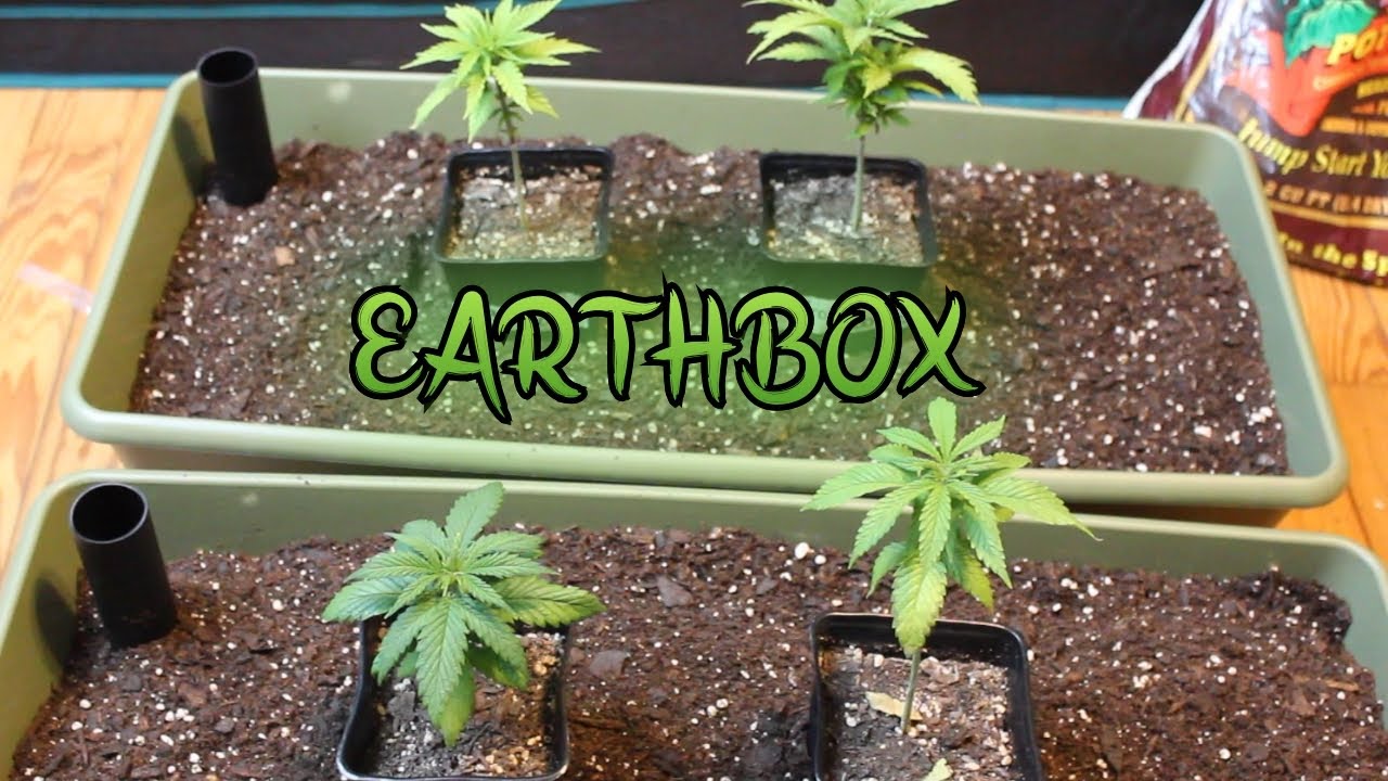 Как установить Earthbox