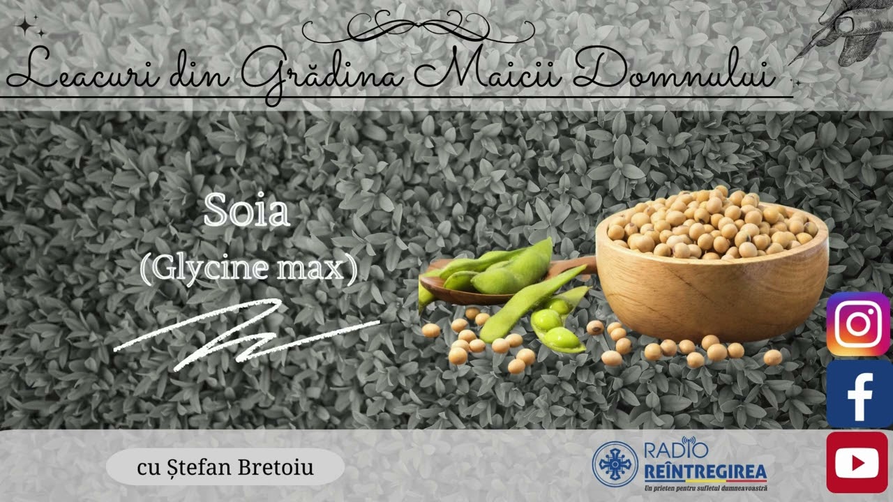 Leacuri din Grădina Maicii Domnului - Soia