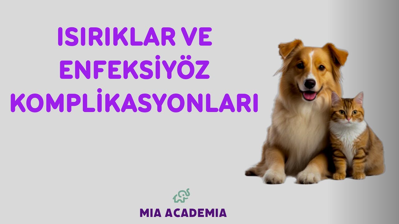 ISIRIKLAR VE ENFEKSİYÖZ KOMPLİKASYONLARI | SORULARLA KONU ANLATIMI - 7