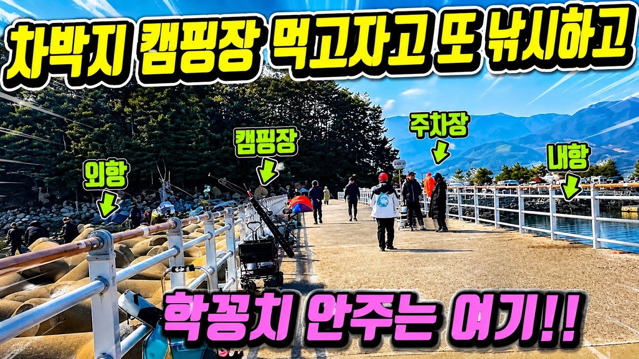 1.2번 자리에 학꽁치가 바들바글 하네요!캠핑&차박 주차 신설화장실까지 잡고 먹고 놀고 자고 최고의낚시터