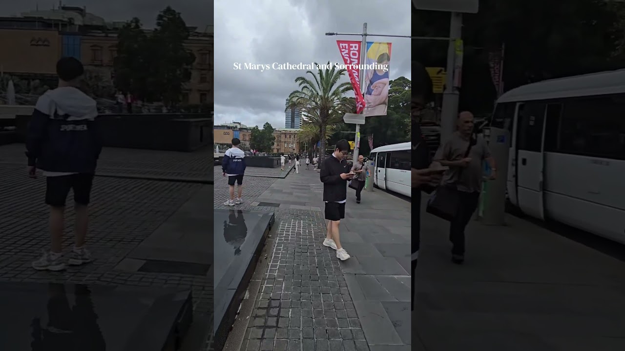 St Marys Cathedral Sydney and Sorrounding