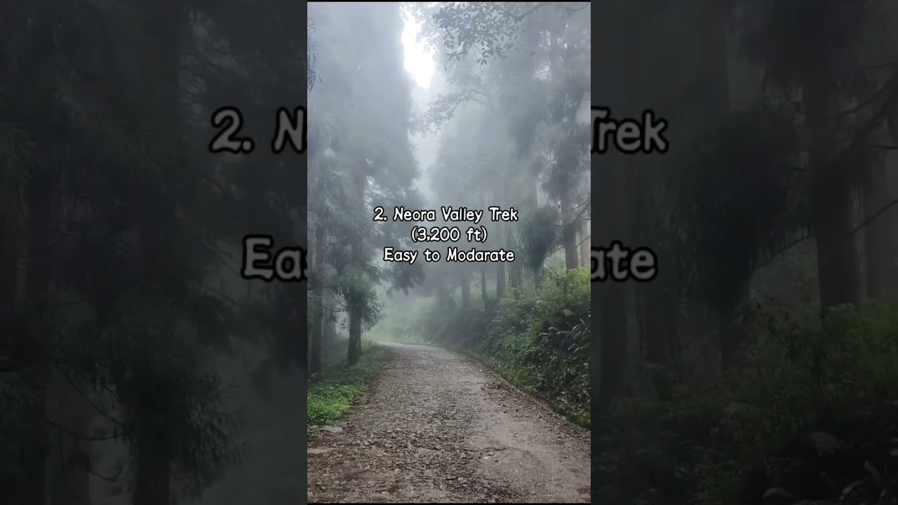 Top 5 best trek in west bengal | Top 5 best trek in world | Top 5 best trek in india 