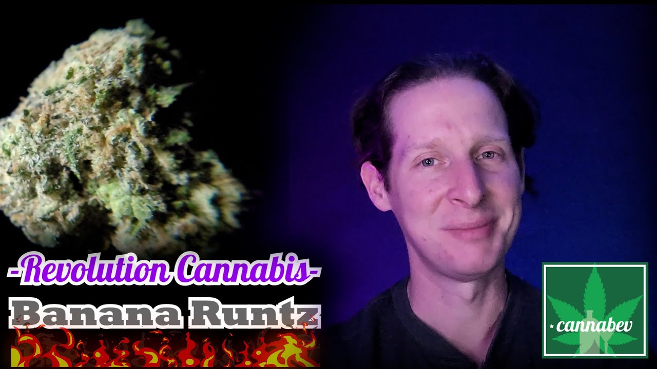 This Weed is Fire - Revolution Cannabis Banana Runtz - Illinois Cannabis Review