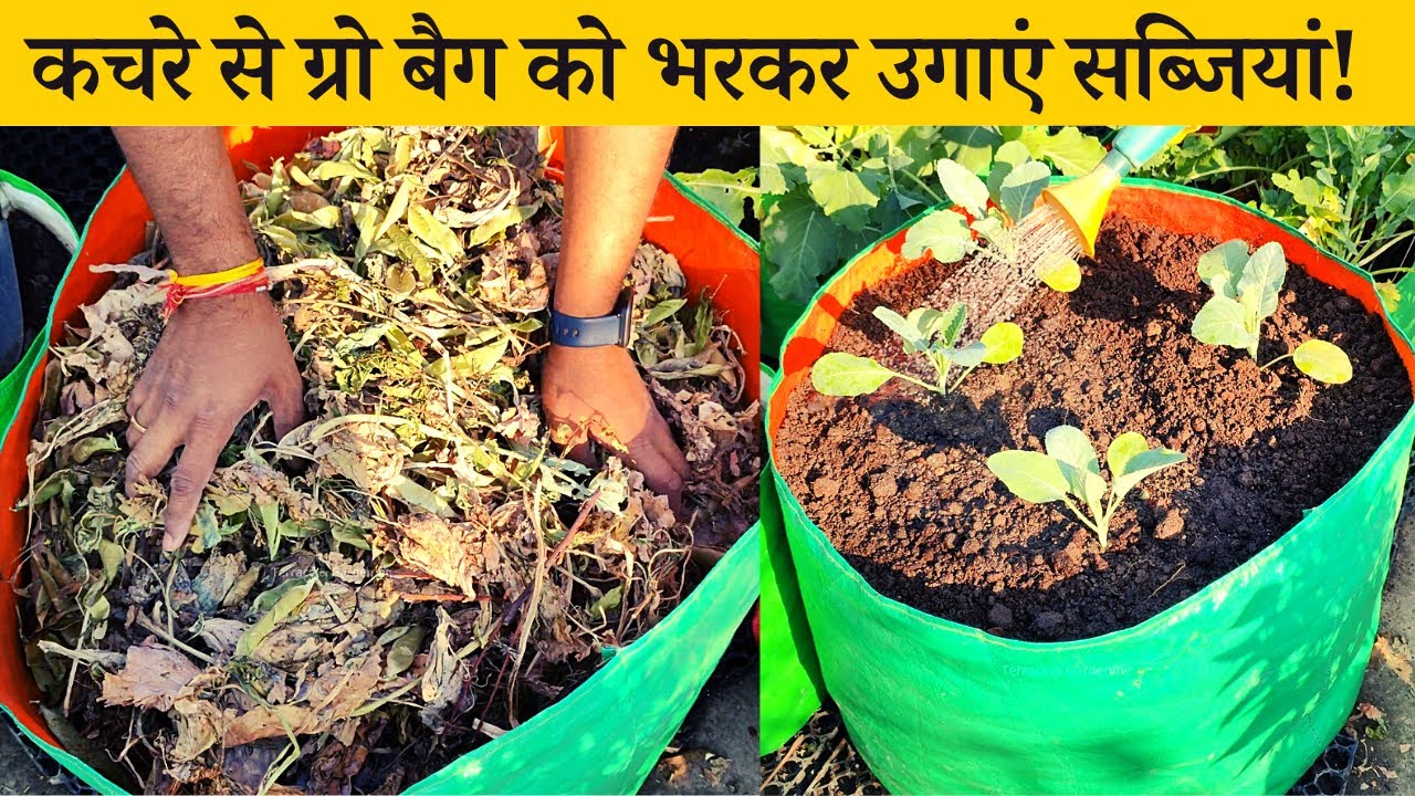 कचरे से ग्रो बैग को भरकर उगाएं सब्जियां! How to fill Grow bag with Less Soil With Garden Waste Hindi