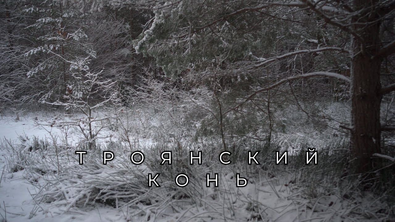 Троянский конь: Уязвимость нулевого дня в мужской психике