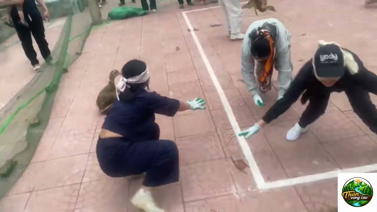 Cười ngả nghiêng với màn bịt mắt bắt vịt của các cô gái ￼