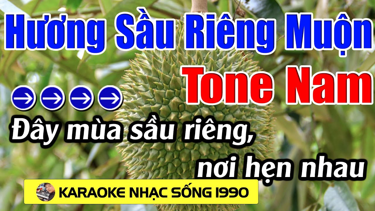 Hương Sầu Riêng Muộn - Karaoke Tone Nam - Karaoke Nhạc Sống 1990 - Beat Mới