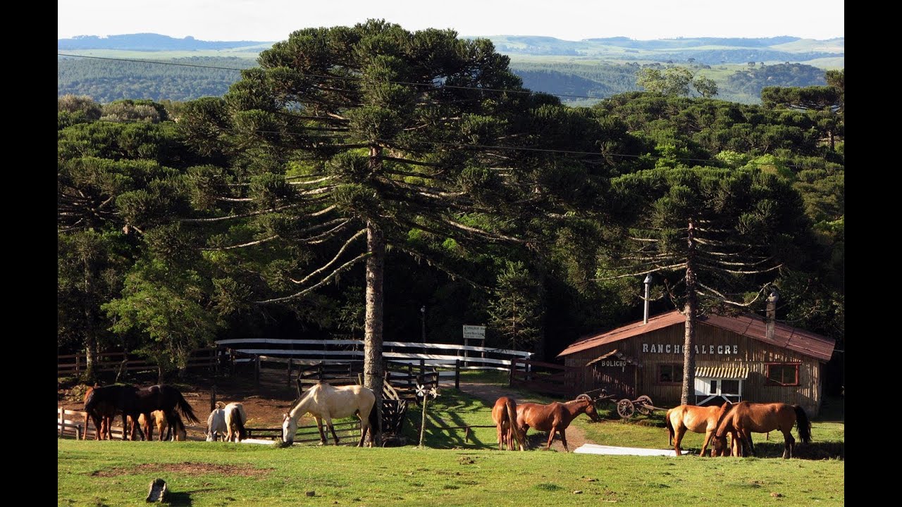 Fazenda a Venda em Canela - RS