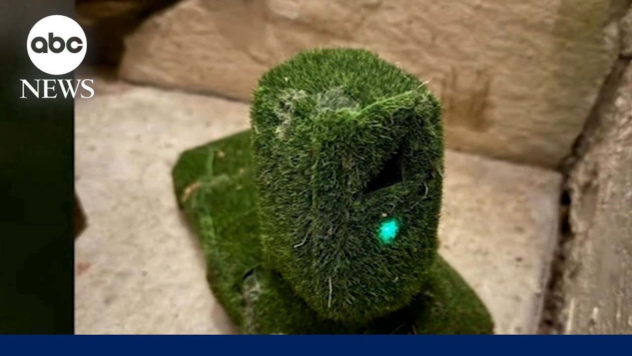 California homeowner finds hidden camera in bushes