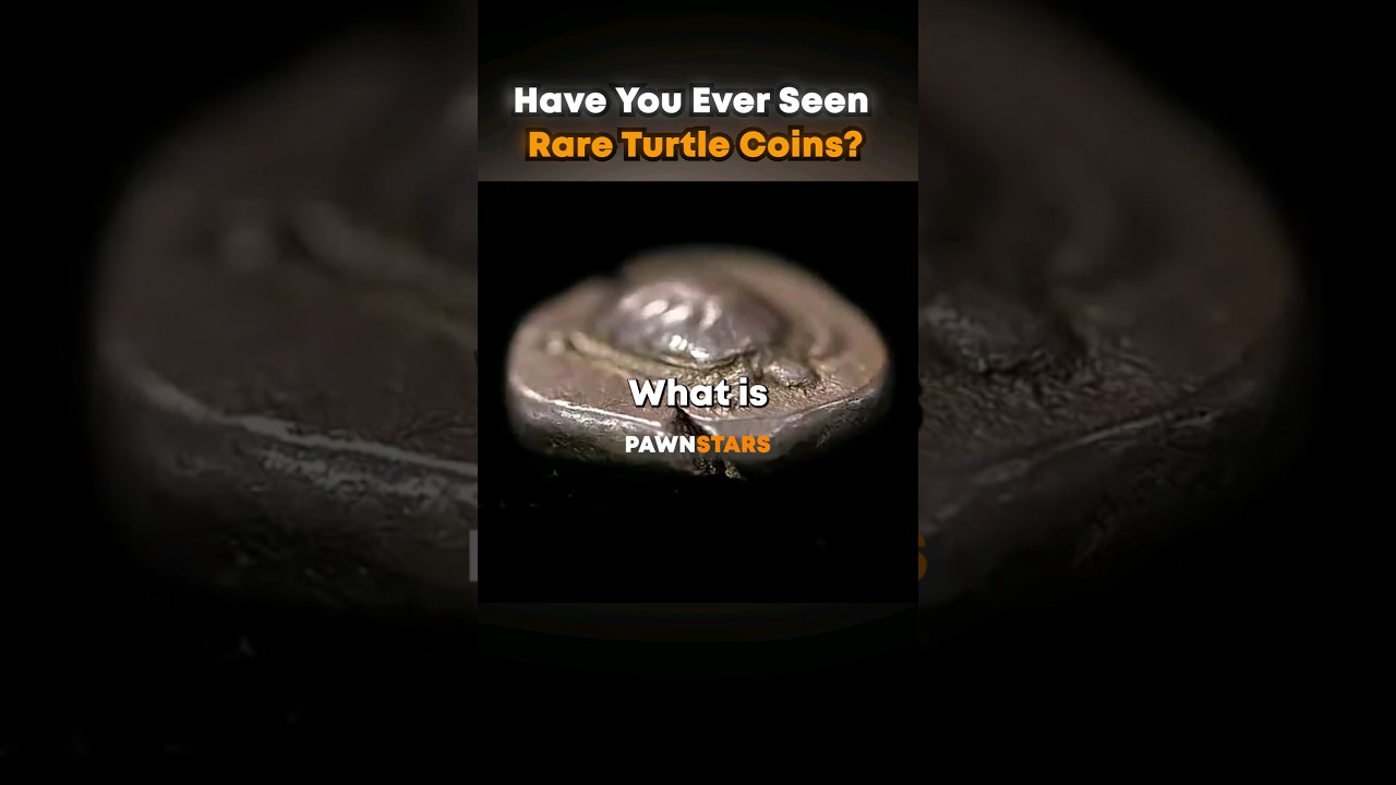 This Woman Tries to Sell Ancient Turtle Coins