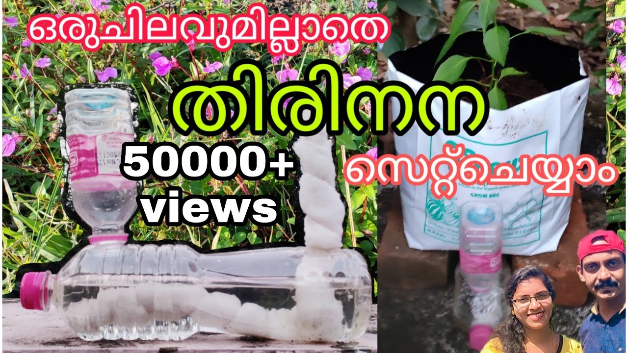 തിരി നന ഒരു ചിലവുമില്ലാതെ സെറ്റ് ചെയ്യാം | Thiri nana|Zero Cost Wick Watering System|Wick irrigation