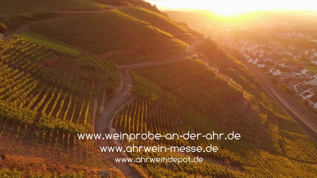Weinprobe an der Ahr - Ahrwein-Messe