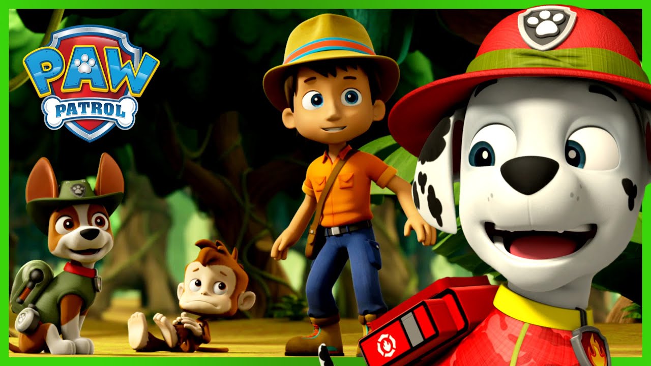 Marshall ratuje małpkę i nie tylko - Psi Patrol PAW Patrol po polsku