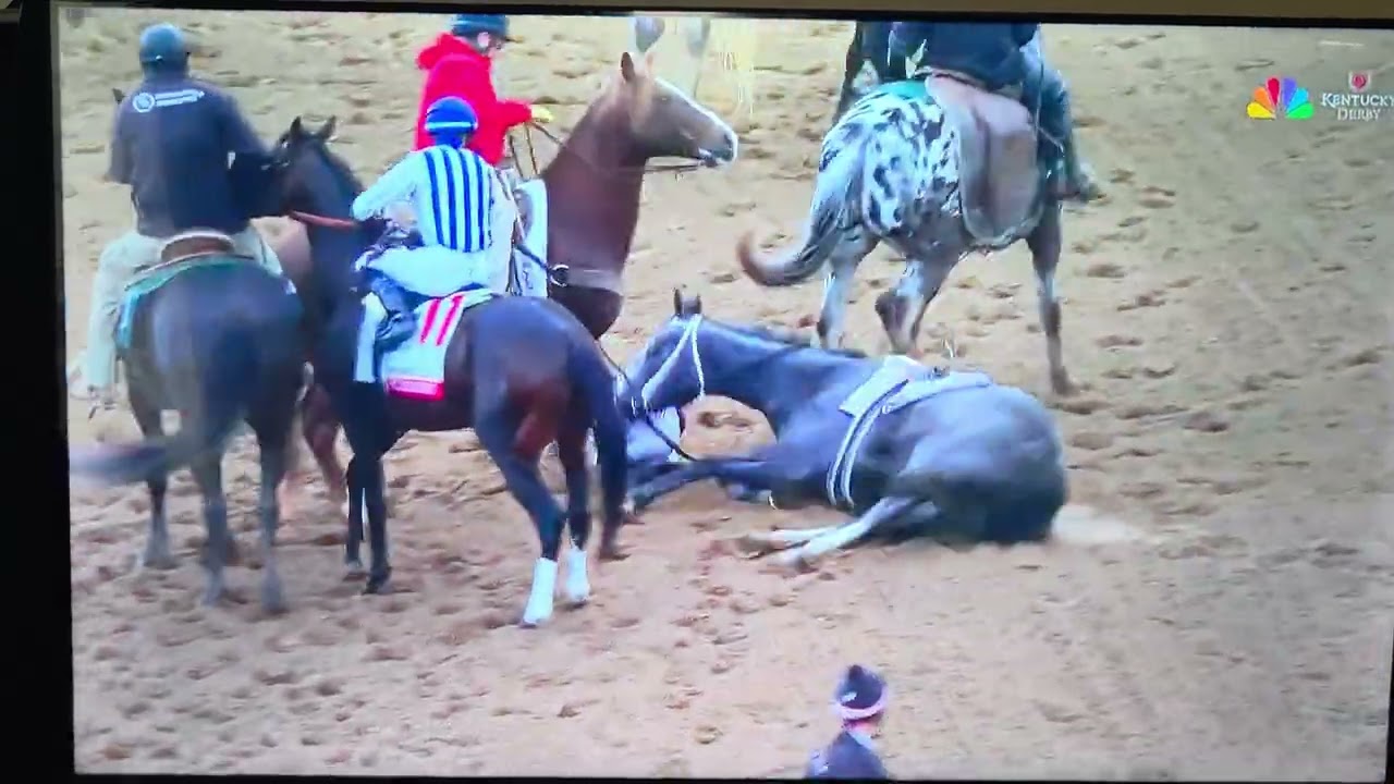 2026 Kentucky Derby horse 
