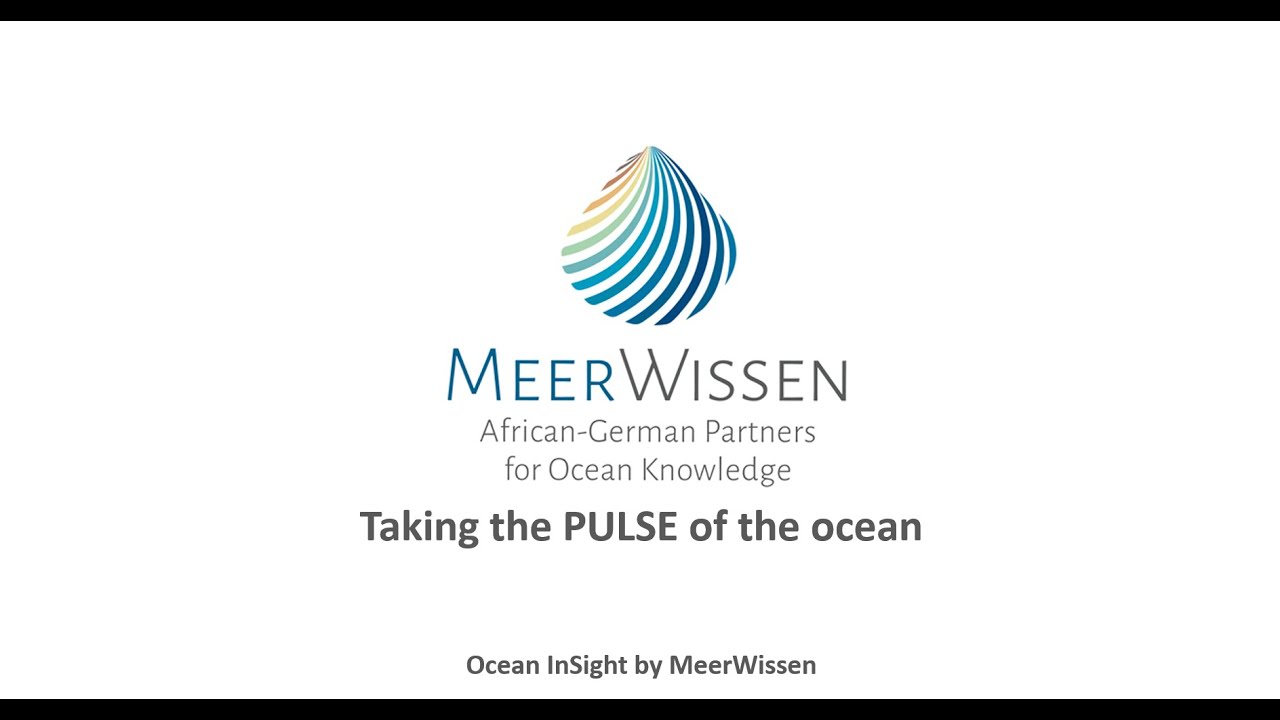 Taking the PULSE of the ocean