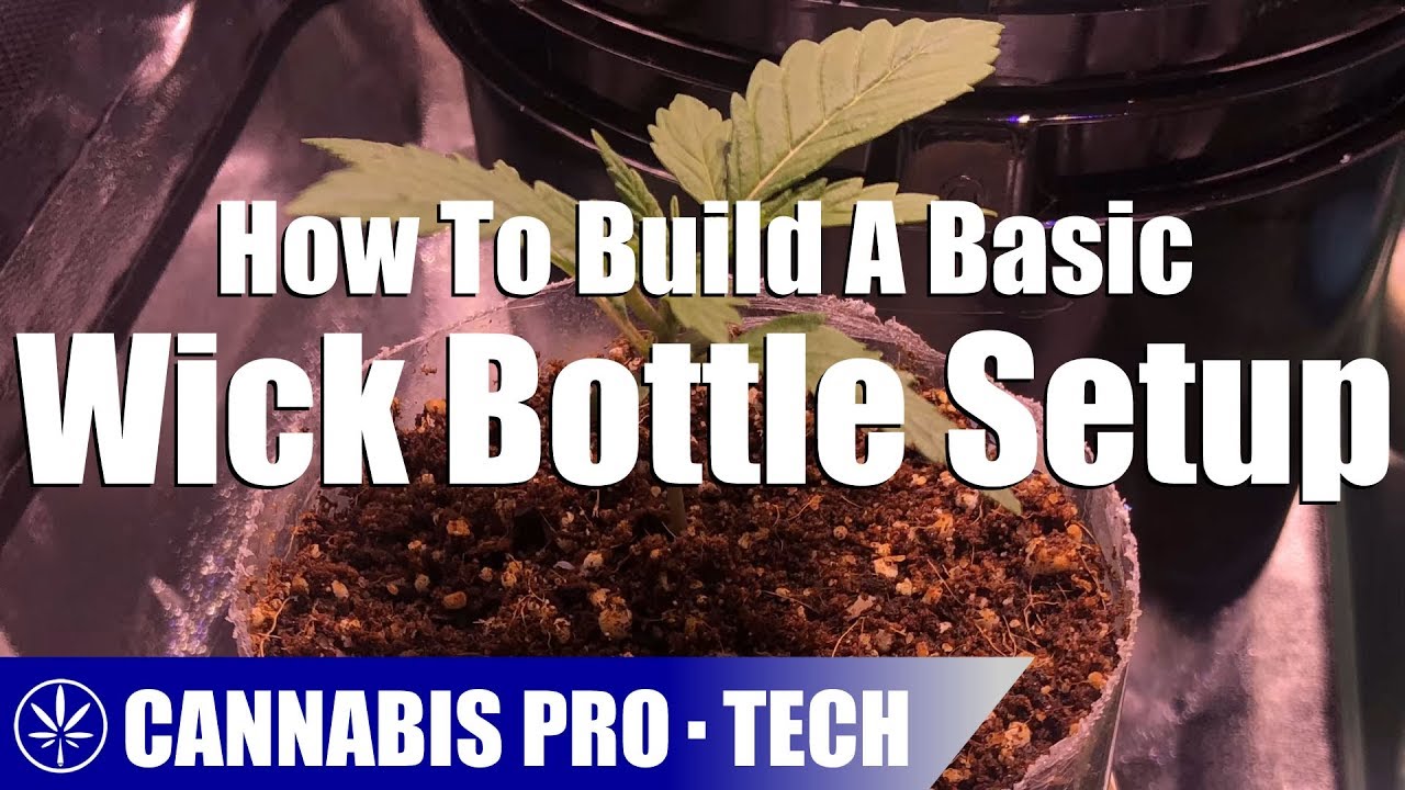 How To Build A Basic Wick Bottle Setup