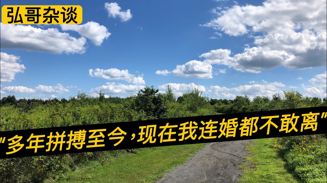 “ 多年拼搏至今，我现在连婚都不敢离。“ 女博士的婚姻烦恼，高智商妻子的生活难题。