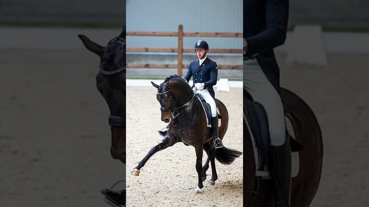 Don Bravour : Painted Black x Chronos (Geert-Jan Raateland)