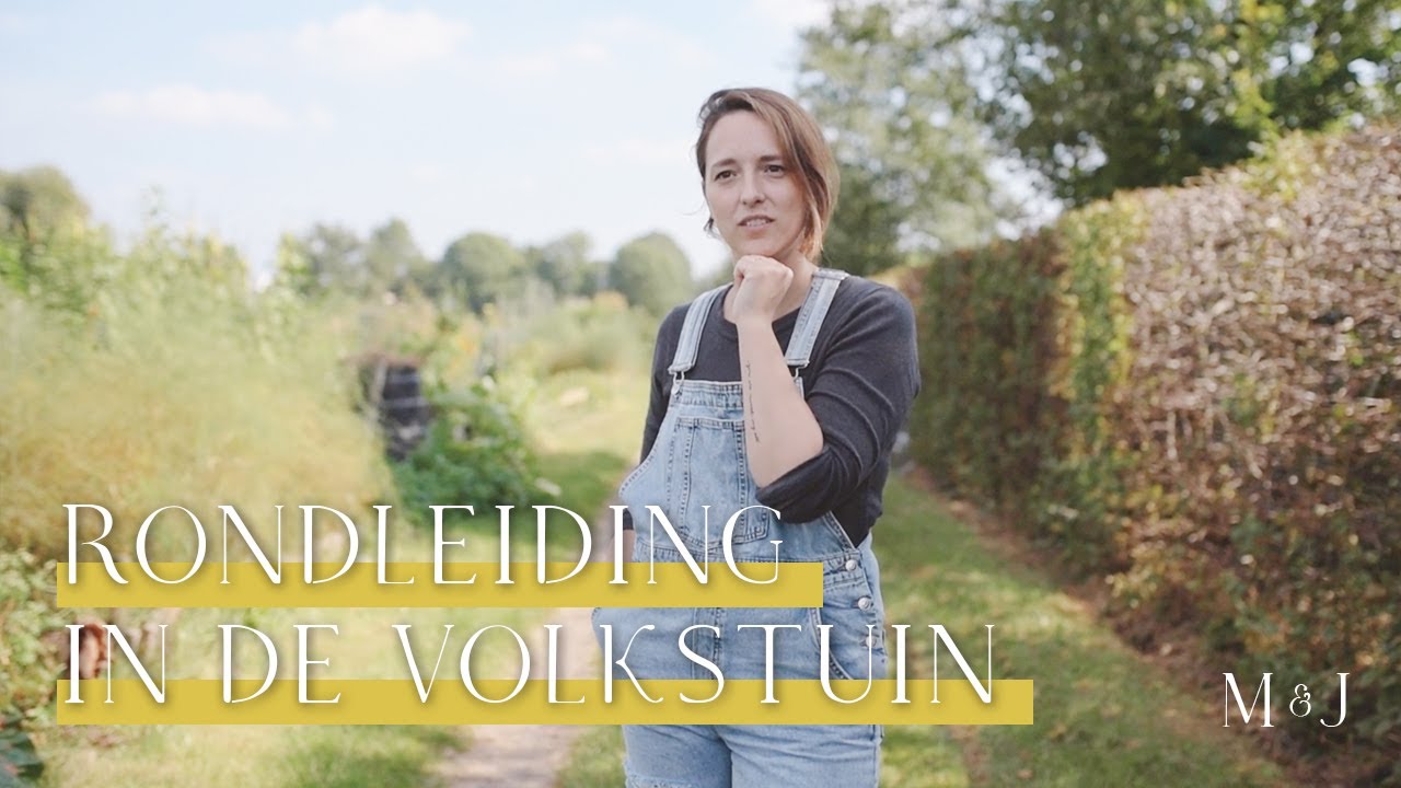 Rondleiding langs de volkstuinen - MAY & JUNE