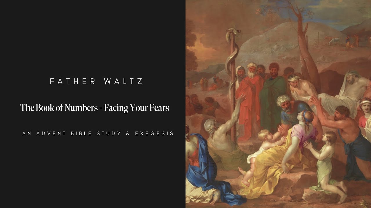 Numbers - Facing your Fears | Advent Bible Study & Exegesis with Father Waltz | Session 2