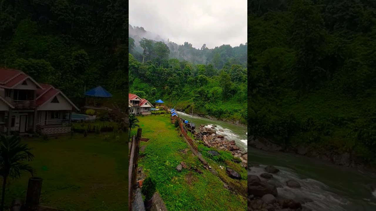 jhalong RJ Homestay..... #jhalong #northbengal #dooars #kalimpong #travel #forest