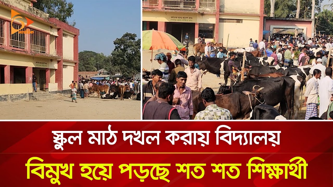 কিশোরগঞ্জে ১৭ বছর ধরে বিদ্যালয় মাঠ দখল করে চলছে পশুর হাট! | Nagorik TV
