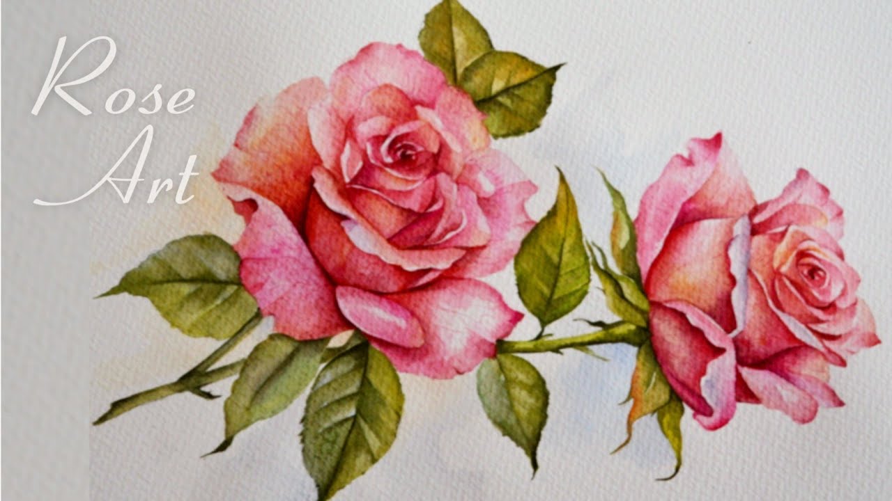 Beautiful Rose Watercolor Painting | Watercolor Illustration