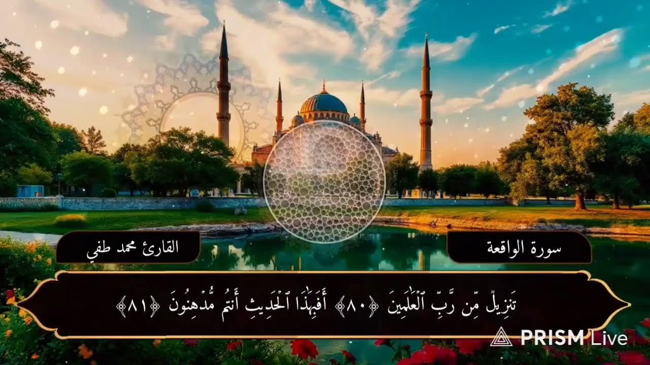 #قرآن تلاوات منوعة #قرآن #سورة_البقرة #سورة_مريم #سورة_الرحمن #سورة_الواقعة