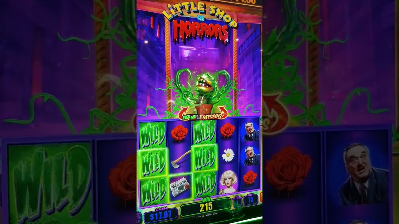 Slot play MGM Grand.  #vegas #usa #mgmgrand #slots #littleshopofhorrors