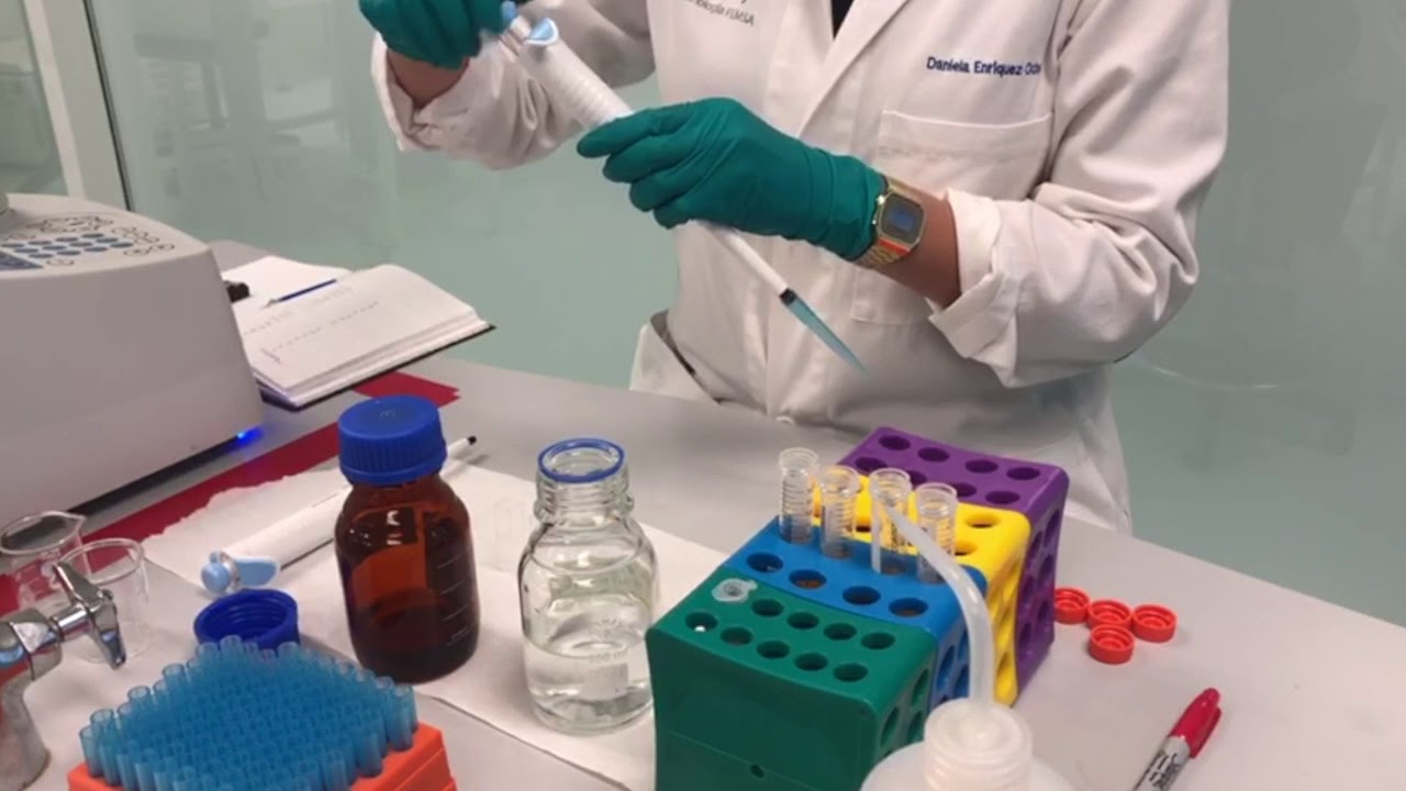 Determinación de actividad enzimática de lacasa