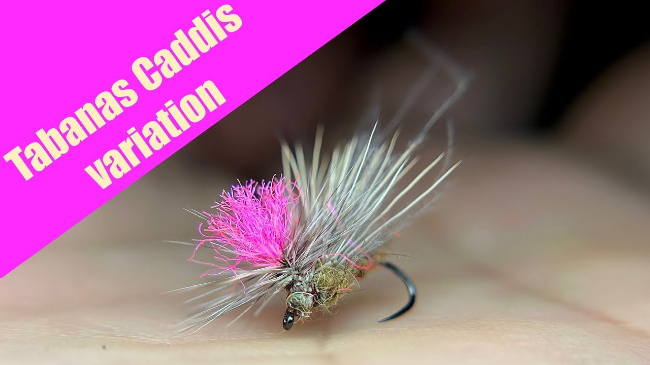 The T-word Caddis