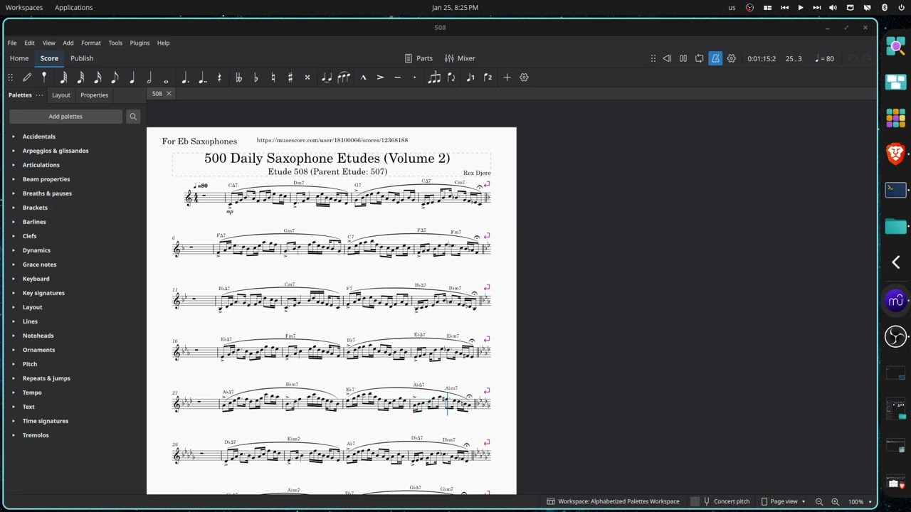 Saxophone Etude 508 - Rex Djere