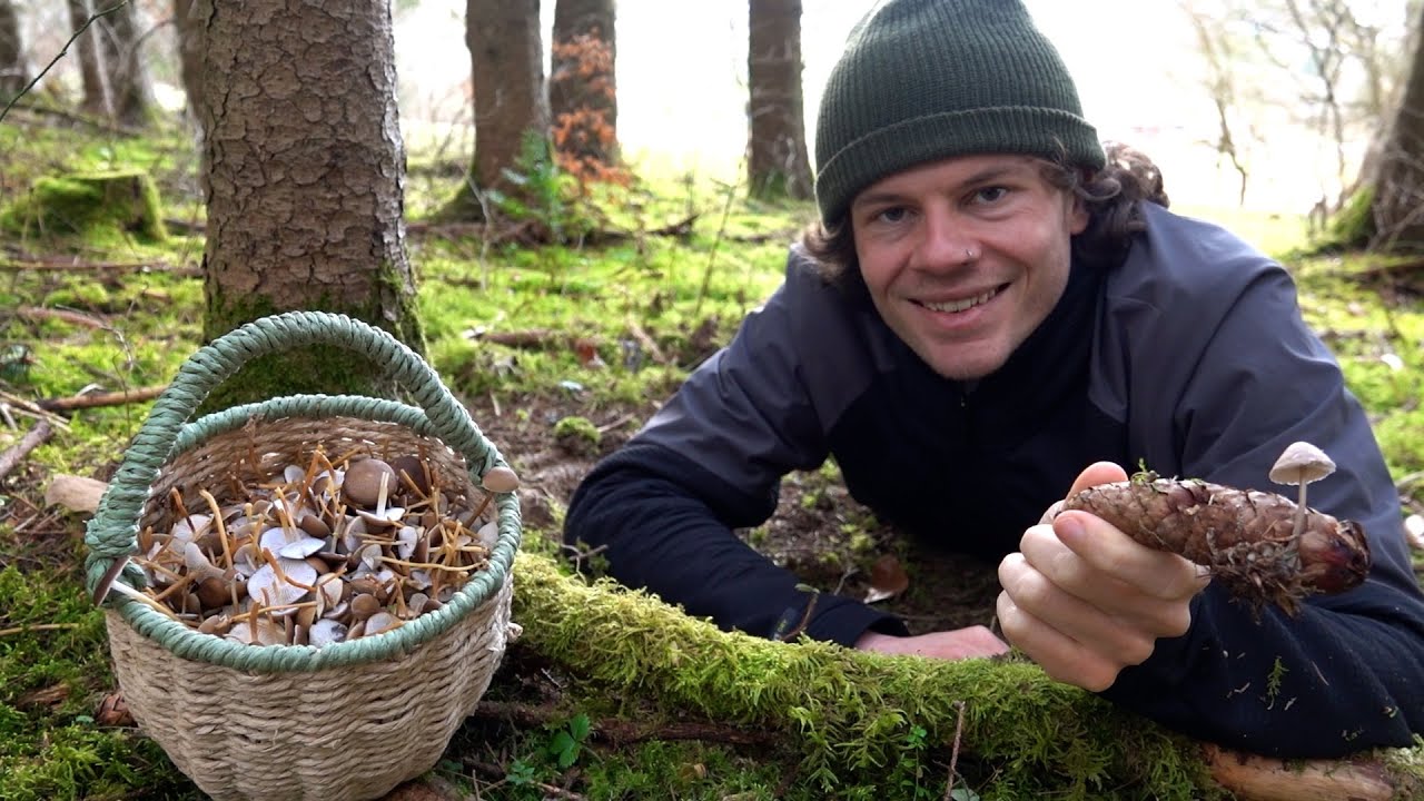 In die Wildkräuter und zum kleinsten Frühlingspilz im März 2025