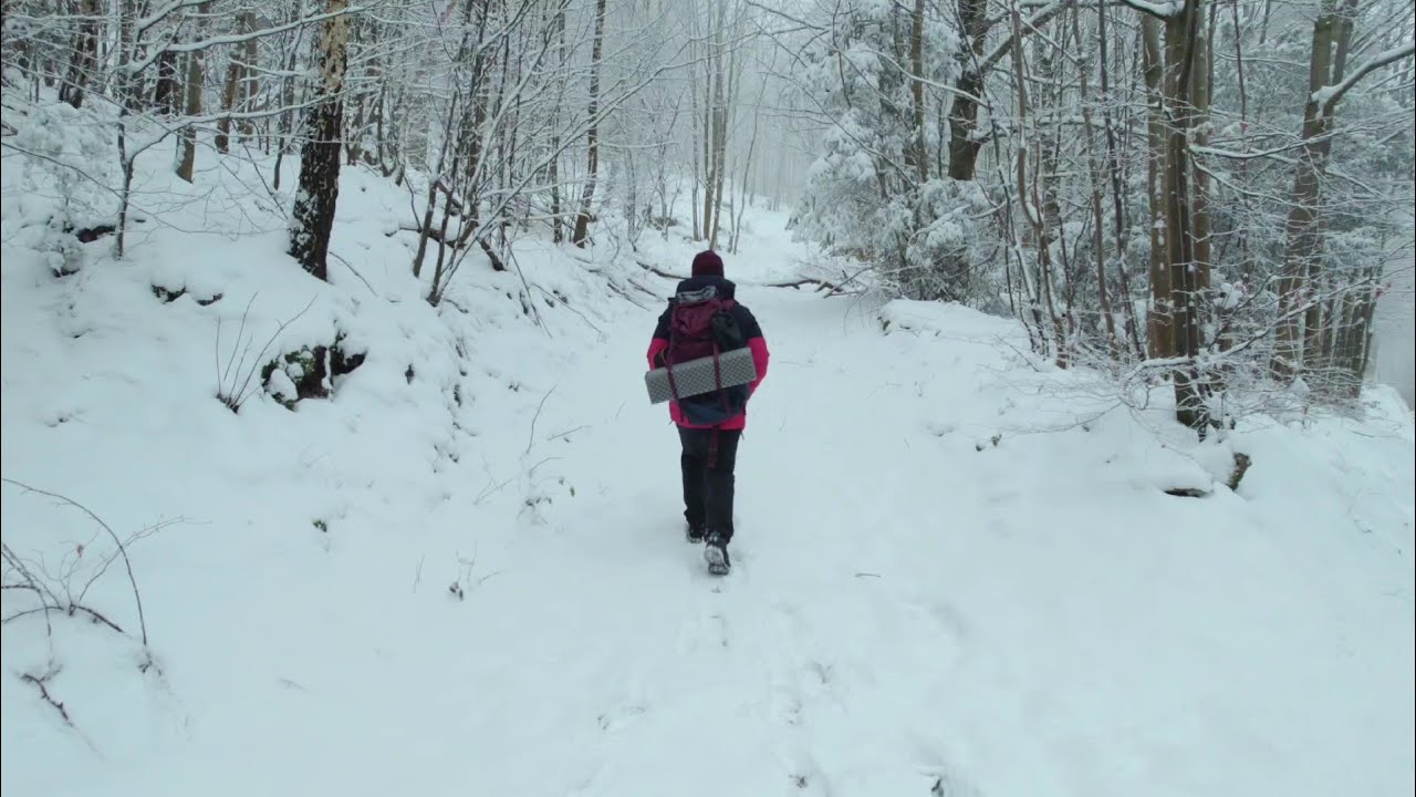 ❄️ Solo Camping in snow forest ❄️ 🌧