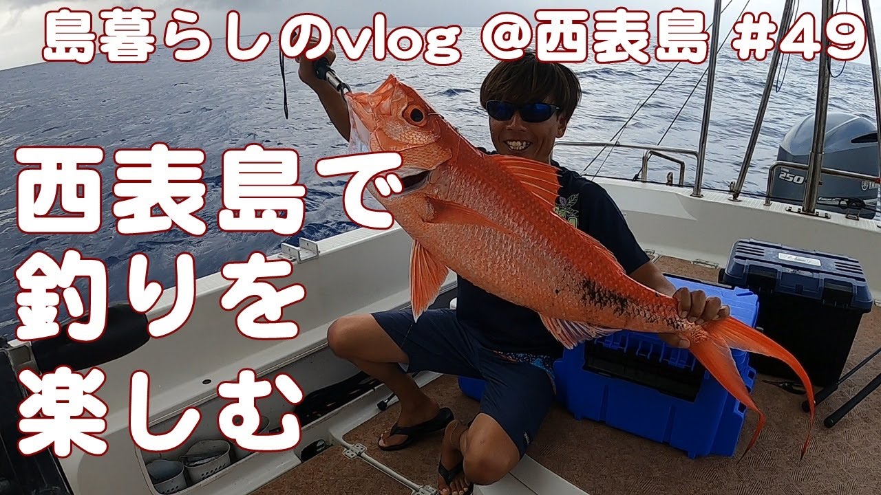 【西表島での日常】オススメツアー/釣り/ジギング/うみ日和/Recommended tours in Iriomote Island/vlog/#49