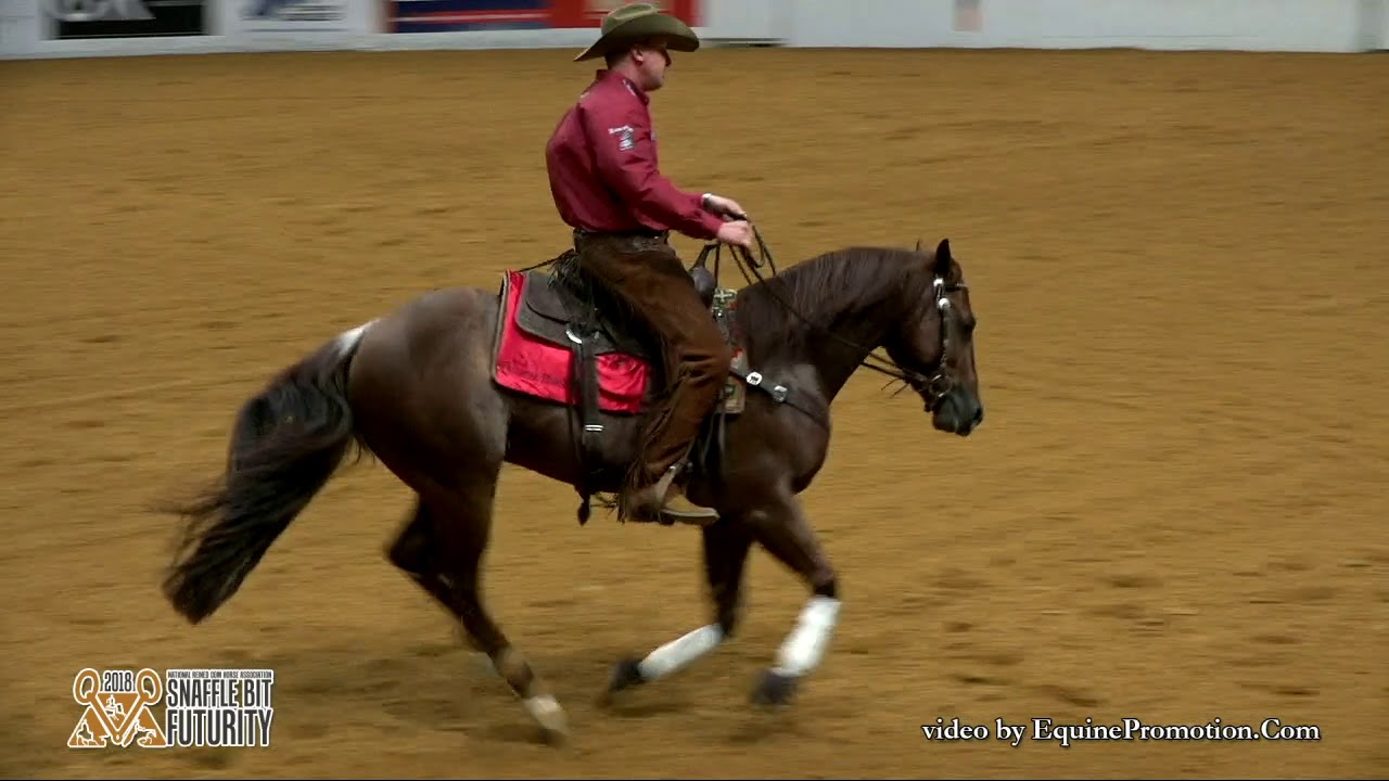 Hott Rod ridden by Corey D. Cushing  - 2018 Snaffle Bit Futurity (Rein - Open FINALS)