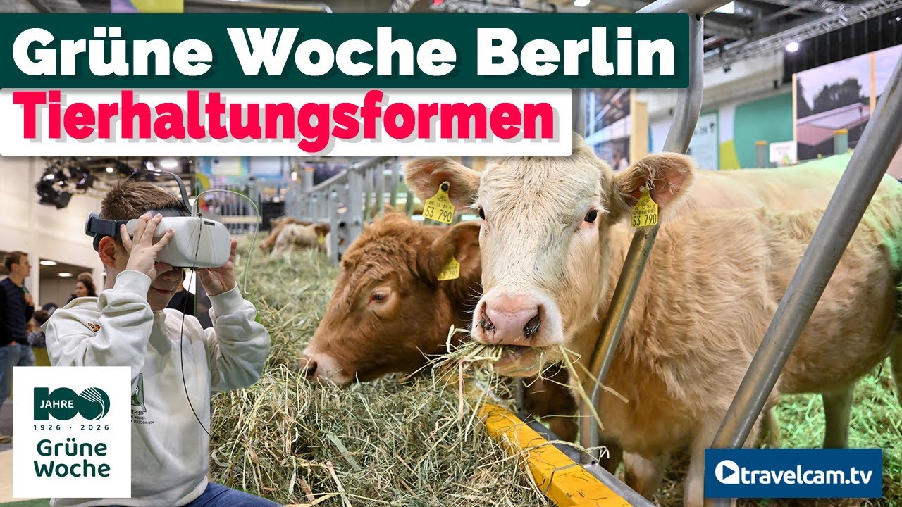 Tierwohl im Fokus – Landwirtschaft erklärt und erlebbar gemacht