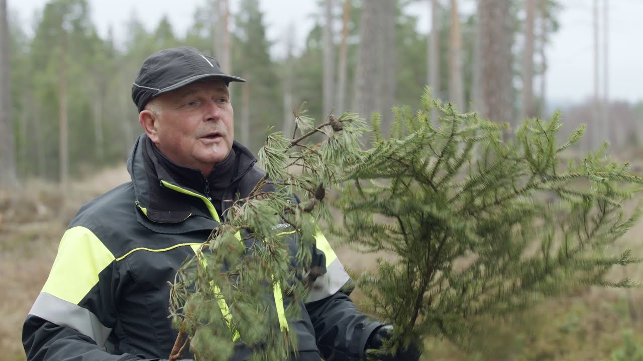 Motiv för askåterföring