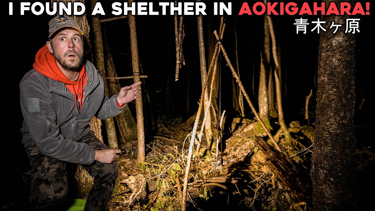 (TERRIFYING!) I Found Someone's Shelter in Japan's MOST HAUNTED FOREST (Aokigahara 青木ヶ原)