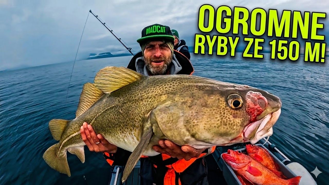 BIG COD FROM 150 METERS !!! TROPHY REDFISH !!! GIGA HADDOCK !!!