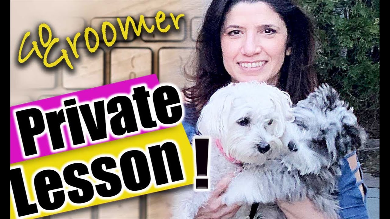LIVE PRIVATE Lesson-Dog Grooming Student in TRAINING!